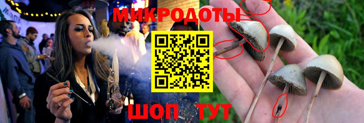 Псилоцибиновые грибы Psilocybine cubensis  Вход с VPN  цены наркотик  Валуйки 